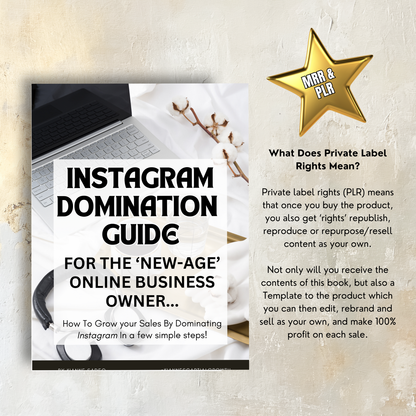 Instagram Domination Guide