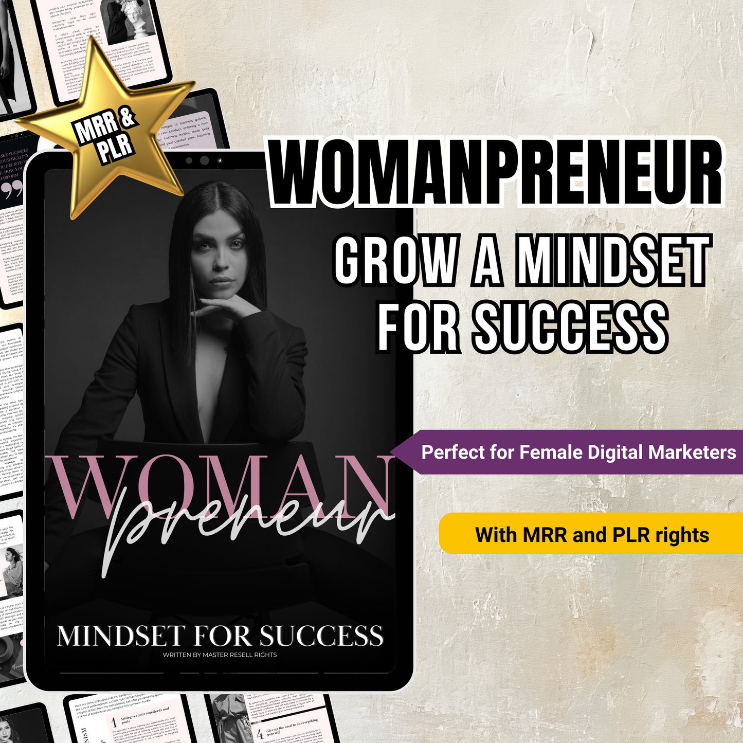 Womanpreneur: Mindset for Success