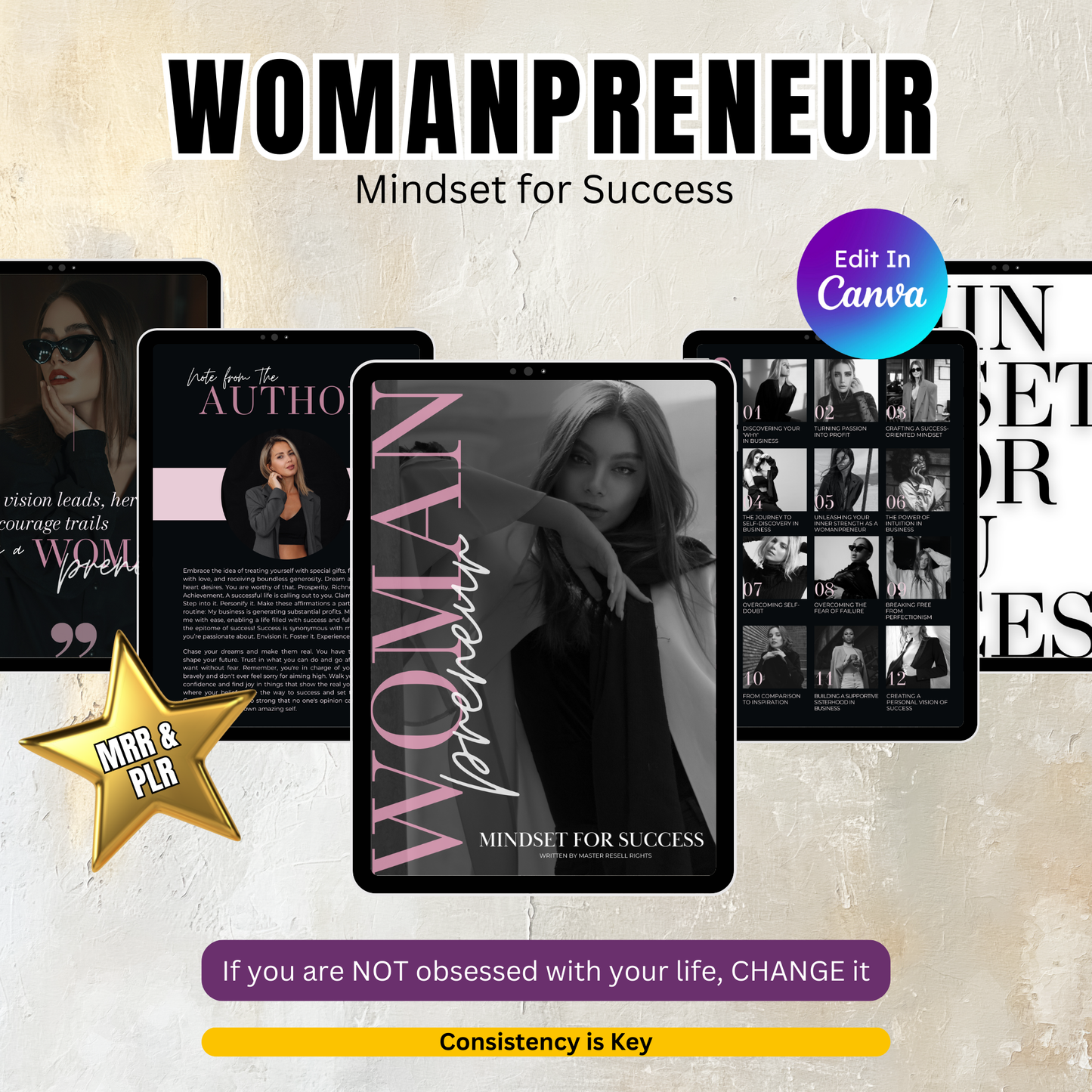 Womanpreneur: Mindset for Success