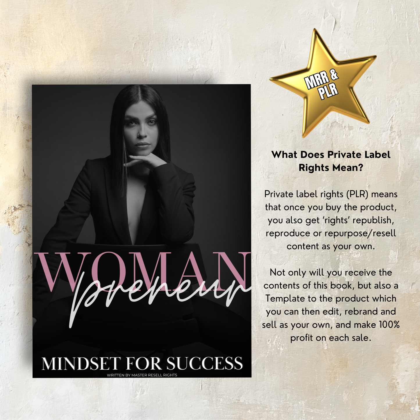 Womanpreneur: Mindset for Success